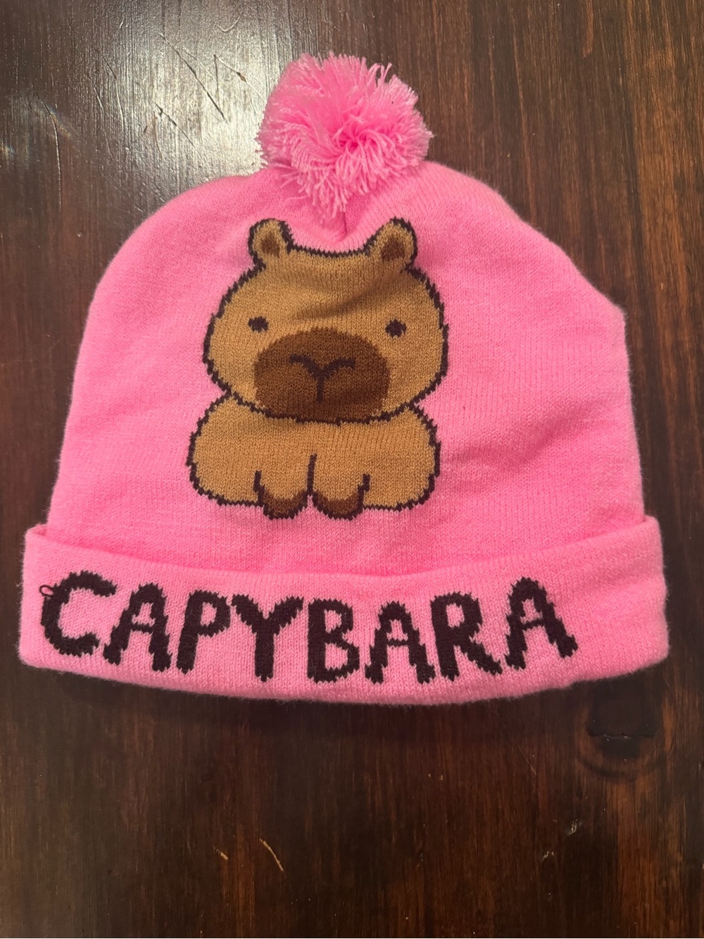 Super cute pink Capybara knit beanie with a fun surprise design! 🩷🐹🐢